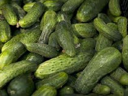 Heirloom Pickling Cucumber